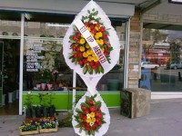 /album/%c3%a7elenk/%c3%a7elenk3-jpg/