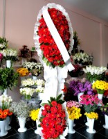 /album/%c3%a7elenk/%c3%a7elenk4-jpg/