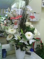 /album/foto%c4%9fraflar/aranjnman-jpg1/