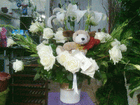 /album/foto%c4%9fraflar/aranjnman3-gif1/