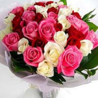 /album/foto%c4%9fraflar/buket1-jpg1/