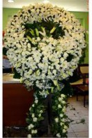 /album/foto%c4%9fraflar/%c3%a7elenk5-jpg1/