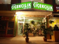 /album/foto%c4%9fraflar/a531765-3132582890444-1090369927-n-jpg/