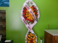 /album/%c3%a7elenk/%c3%a7elen5-jpg2/